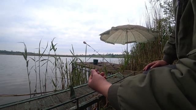 24 ЧАСА НА РЫБАЛКЕ ЛОВЛЯ КАРАСЯ! СЛОВИЛ 5 КГ! ЖАРЮ ГРИБЫ И КОЛБАСУ! смотреть онлайн