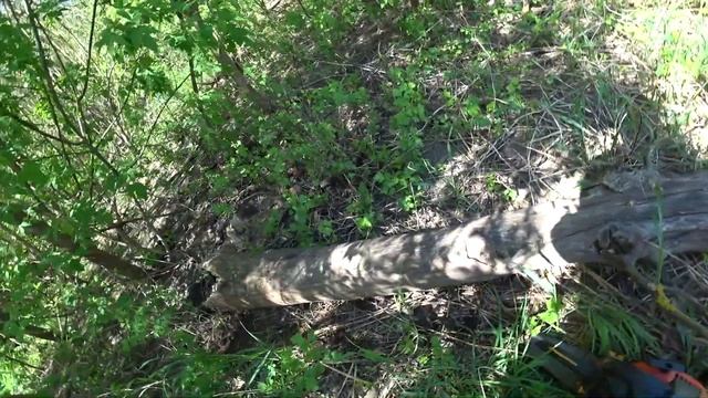 Рыбалка на Северском Донце.Обустраиваю свое место.Готовлю на костре. смотреть онлайн