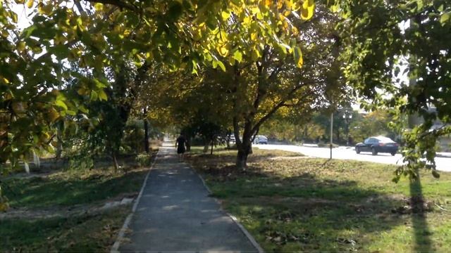 СУББОТНЯЯ ПРОГУЛКА смотреть онлайн