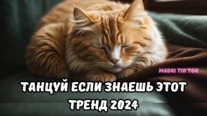 ?ТАНЦУЙ ЕСЛИ ЗНАЕШЬ ЭТОТ ТРЕНД 2024?