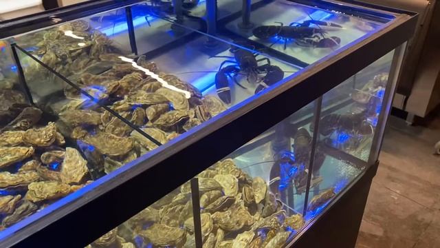 Акваріум для морепродуктів, устриці, лобстери 0674011931 смотреть онлайн