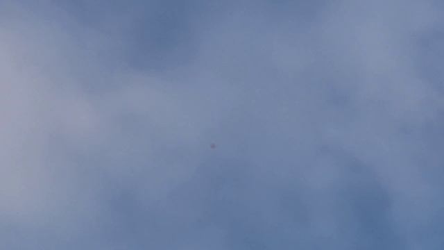 #Pigeon #Астрахань. Голубь чужой в гостях! 16.03.20г смотреть онлайн