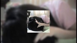 crystal castles - transgender. speed songs.