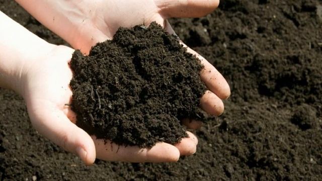 3 класс, 3 четверть Естествознание, 6 урок Тема Какими бывают почвы смотреть онлайн