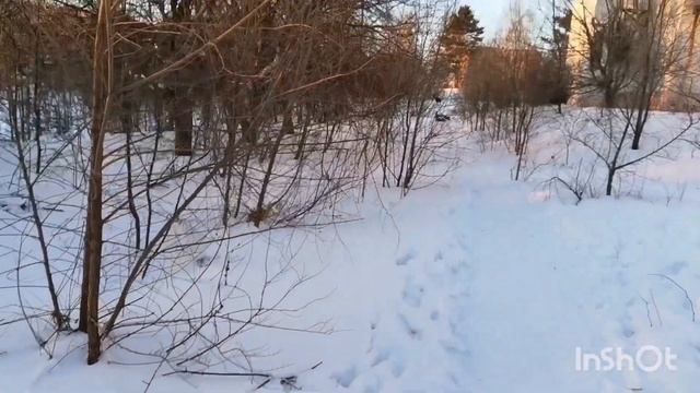 10.01как я пеку хлеб у дочери/женщины сами решают свою судьбу /#комсомольскнаамуре #хлеб #прогулка