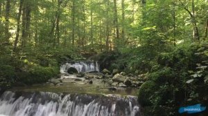 Stream (4) Relaxing Music with Water Sounds, Peaceful, Yoga and Relaxation, Soothing, 2 Hours.