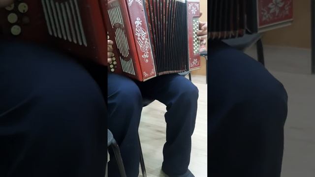 Шуйская гармонь соль мажор 1957 год
