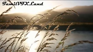 Top Best Tamil & Relaxing Instrumental Music | Flute, Violin, Veenai | TamilVFXLand