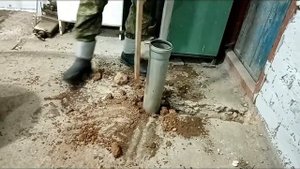 Абиссинка зимой