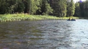 Рыбалка на хариуса. Сплав по таёжной реке КАКВА. Охота на Уток.