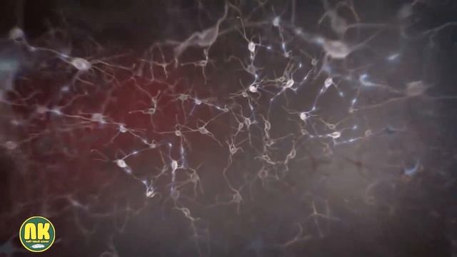 Что будет если не спать 10 дней? Эксперимент Гарднера смотреть онлайн