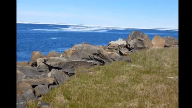 Песня Диксон