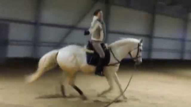 Конный спорт. Чем заняться в межстартовый сезон смотреть онлайн