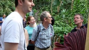 The World's Largest Bloom: Exploring the Titan Arum in Bloom at the Eden Project