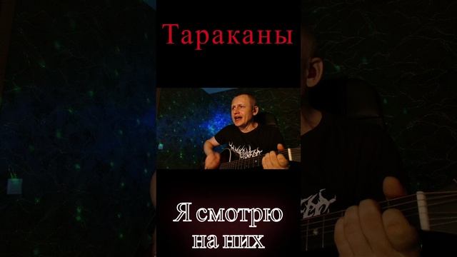 Тараканы-Я смотрю на них #shorts #punk #тараканы #рок #short #панк #rock #панкрок