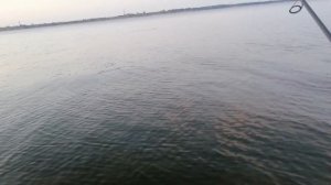 На примере Тиога 2.4 дюйма Очередной тест собственных силиконовых приманок.???