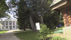 Лесной коп, усадьба Абрамцево. Forest walk, Abramtsevo estate.