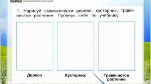 Задание 1 Какие бывают растения - Окружающий мир 2 класс (Плешаков А.А.) 1 часть