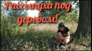 Коп 2019. Немного ЛЕТА холодной зимой!