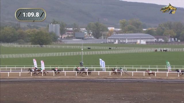 5-е скачки. Приуроченные ко дню города воинской славы города Грозный смотреть онлайн