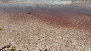 Золотой пляж Крым Феодосия,