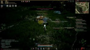 Black Desert #21 Огород. Как заполучить корову.