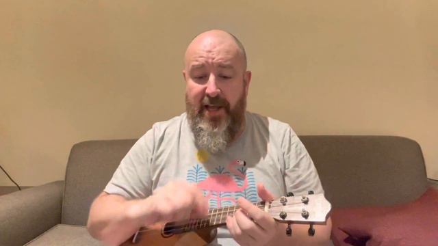 Will We Talk In The Morning - Sam Fender - Ukulele #ukulele #samfender смотреть онлайн