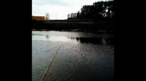 Рыбалка в проводку, на реке Миасс, в центре города