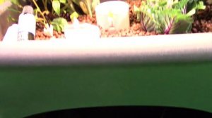 #GoodIdeasInc Aspen AquaGrow Aquaponic Gardening: By Lori Young of the Weekend Handy Woman