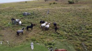 Усть- Соболевка