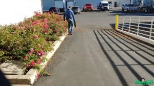 Dewalt 20V MAX Cordless Brushless Handheld Leaf Axial Blower Test & Review DCBL722B