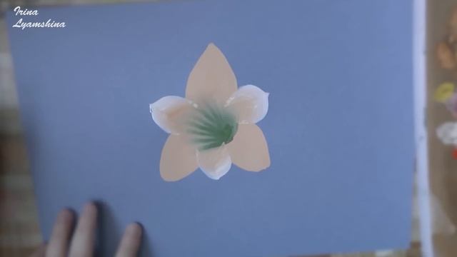 How to Paint a Lily, paint a flower, Onestroke, irishkalia смотреть онлайн