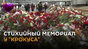 Стихийный мемориал у "Крокуса": миллионы цветов, свечи и игрушки
