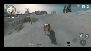 | Wolf Online 2 | GamePlay | Обзор Игры |