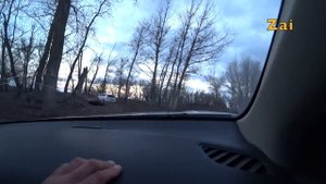 РЫБАЛКА на ВОЛГЕ. Едем на базу ПОЙМА.