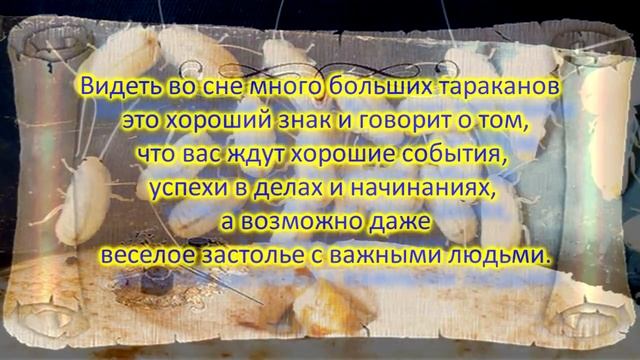 Приснились тараканы, к чему снятся тараканы.