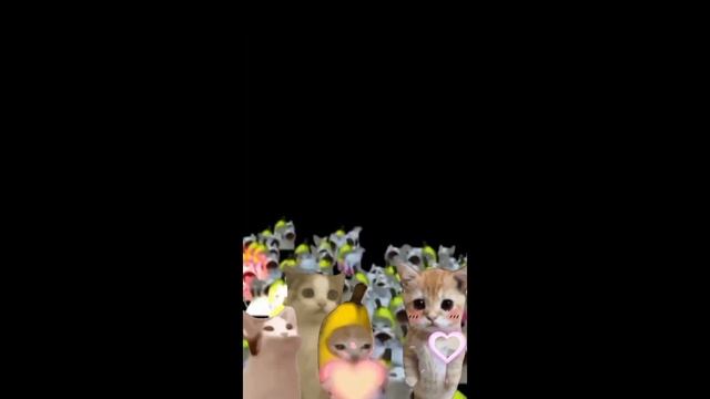 Happy Cat Tiktok Compilation #5 смотреть онлайн