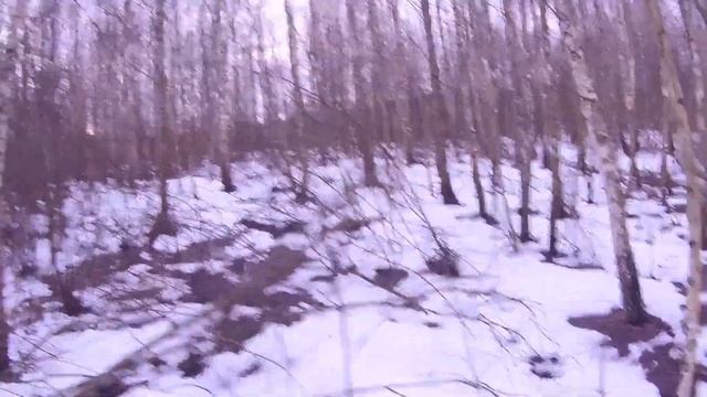 Охота на зайца. первый заяц в 2023