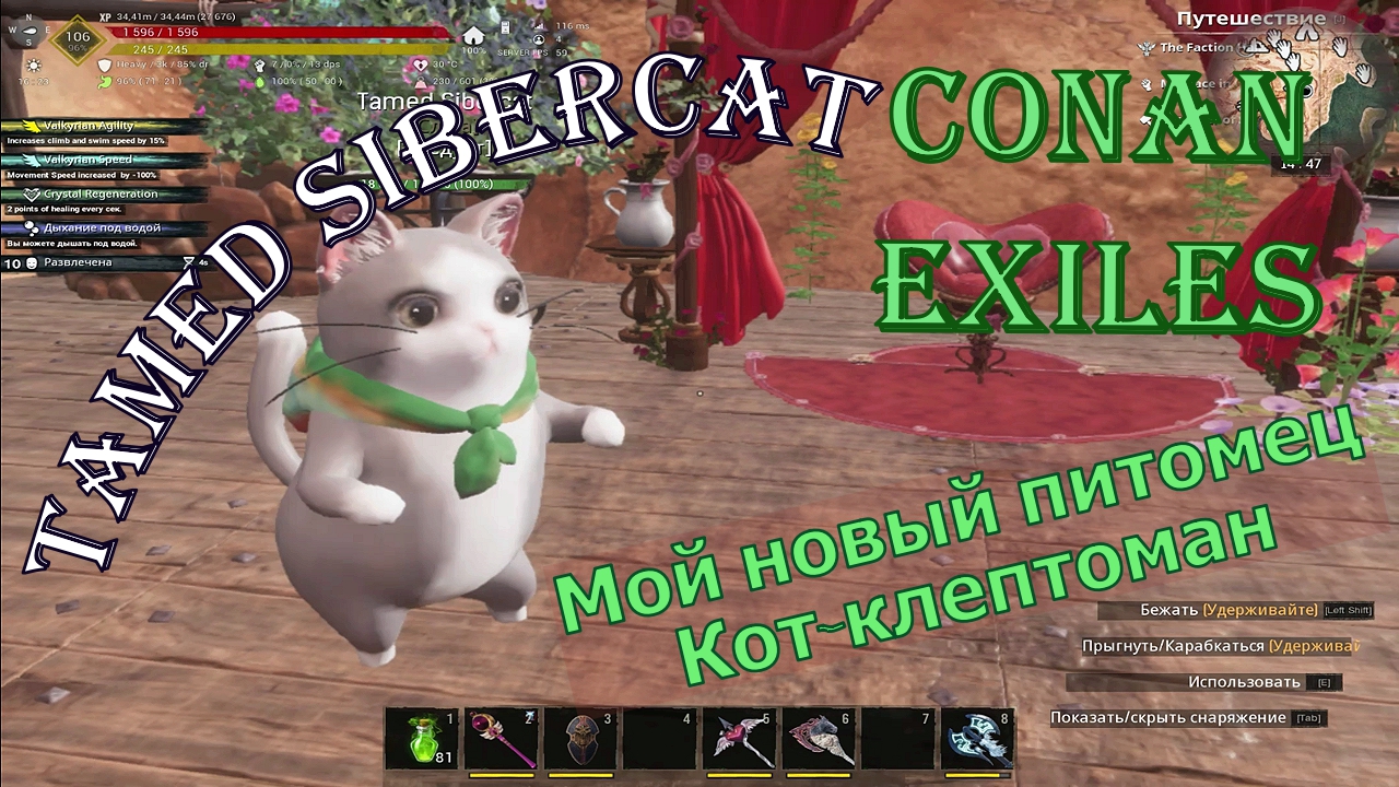 Кот клептоман. Tamed Sibercat. Питомец. Conan Exiles.