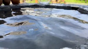 БАБУШКА ГОТОВИТ ПО УНИКАЛЬНОМУ РЕЦЕПТУ С ГОРОШКОМ, РИСОМ, ИЗЮМОМ И МЯСОМ  Азербайджанская  Кухня