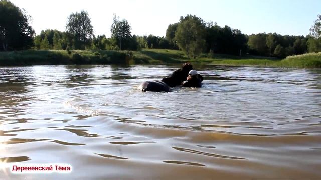 Счастье лошади в жаркий летний день. смотреть онлайн