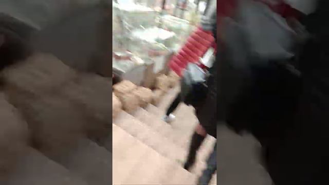 привет)))) я в ботаническом саду смотреть онлайн