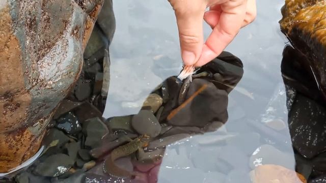 Анапа Большой Утриш. Рыбалка руками смотреть онлайн