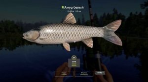 РР4 ОСТРОГ ФАРМ АМУРЫ КАРП ЛИНЬ / РУССКАЯ РЫБАЛКА 4 ОСТРОГ ФАРМ АМУРЫ КАРП ЛИНЬ / RF4