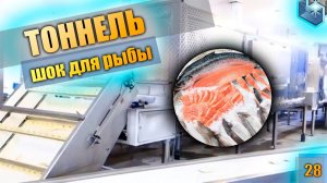 Тоннель шоковой заморозки рыбы до 500 кг / час