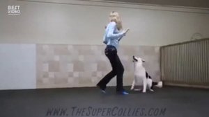 танец человека с собакой...