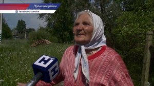 На участке дороги Урень-Шарью-Никольск-Котлас идет ремонт по нацпроекту «БКД»