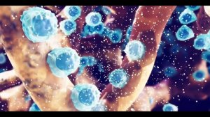 Остеопороз. Откуда берется и методы лечения | ПОЛЕЗНЫЙ ЮТУБ