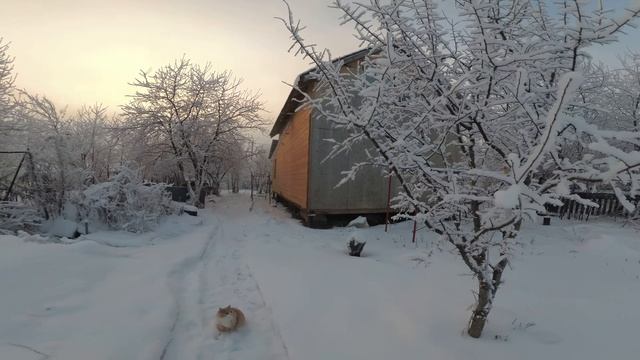 зима 2018 изморозь