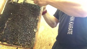 Вилка_культиватор._Распечатка_медовых_сот